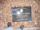 image of grave number 619357